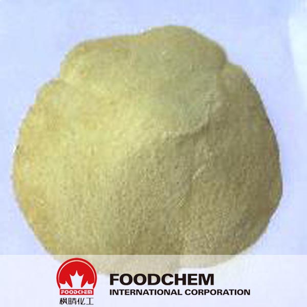 Toasted Soy Flour supplier suppliers